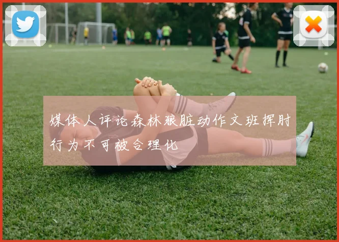 媒体人评论森林狼脏动作文班挥肘行为不可被合理化